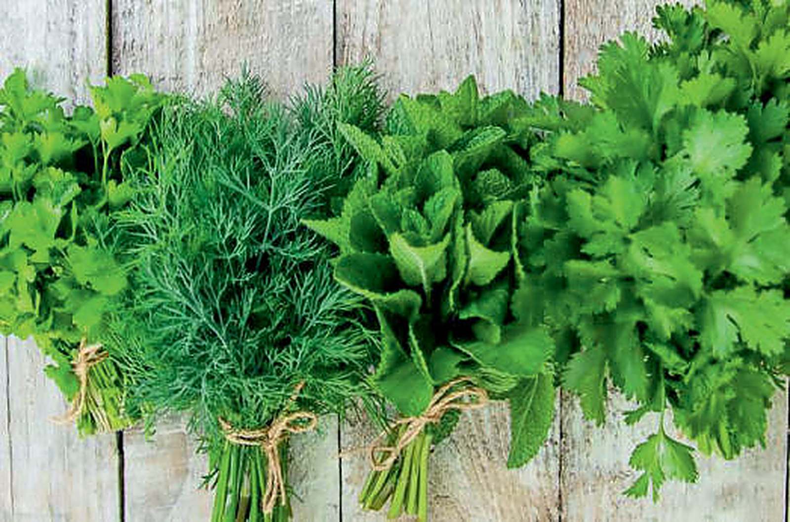 Fresh greens