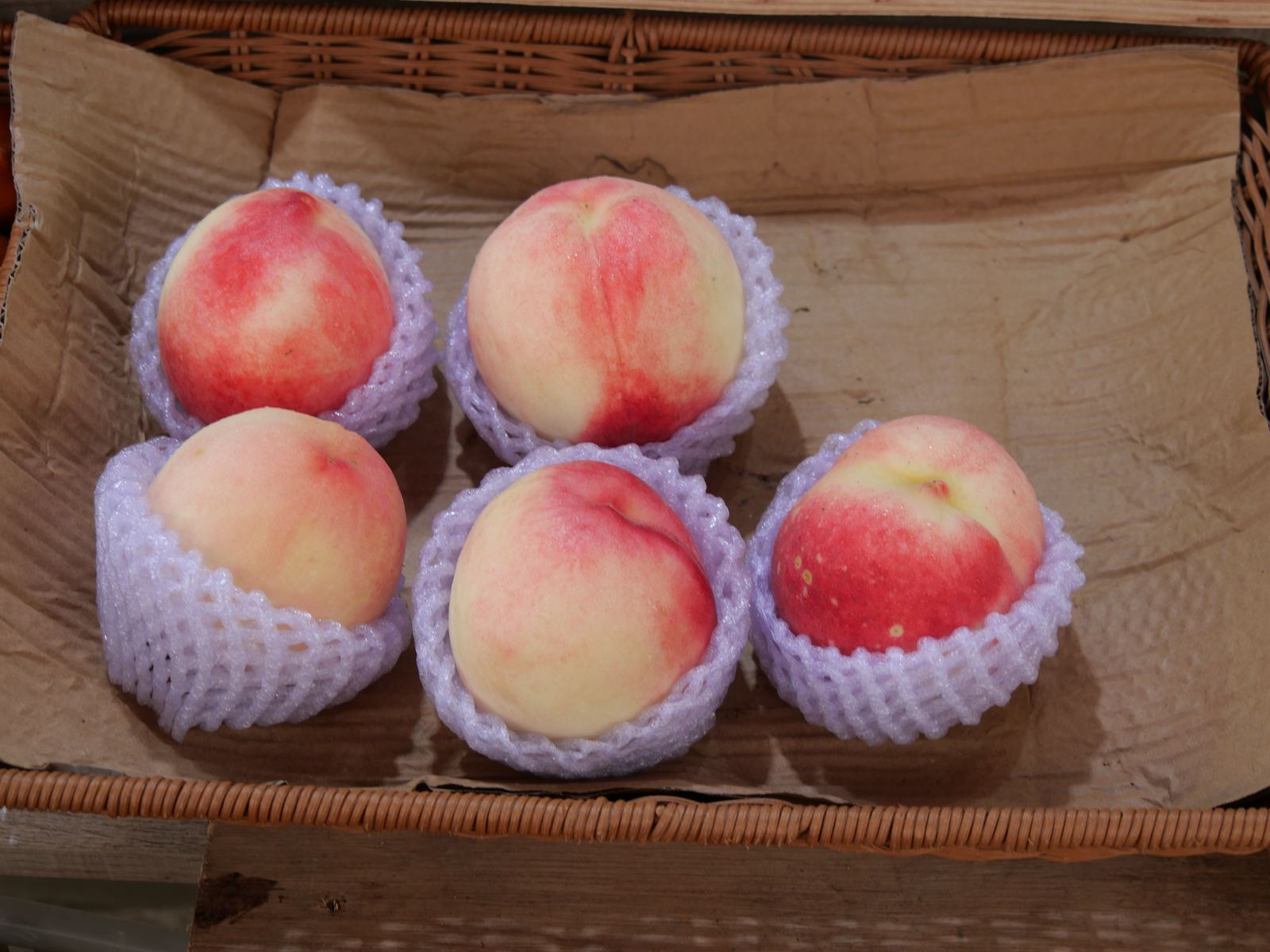 Peaches on the branch